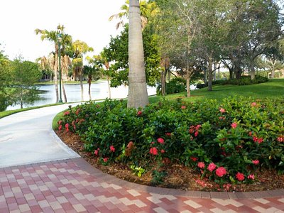 places to visit in weston florida
