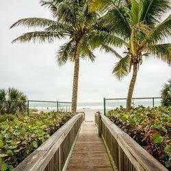 Boardwalk to the Beach