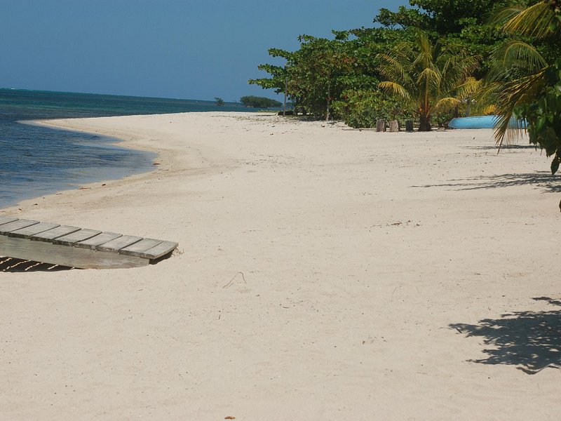 Sandy Bay, Honduras: All You Must Know Before You Go (2024) - Tripadvisor