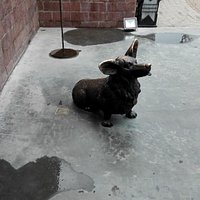Собака
