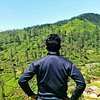 Dilanke P