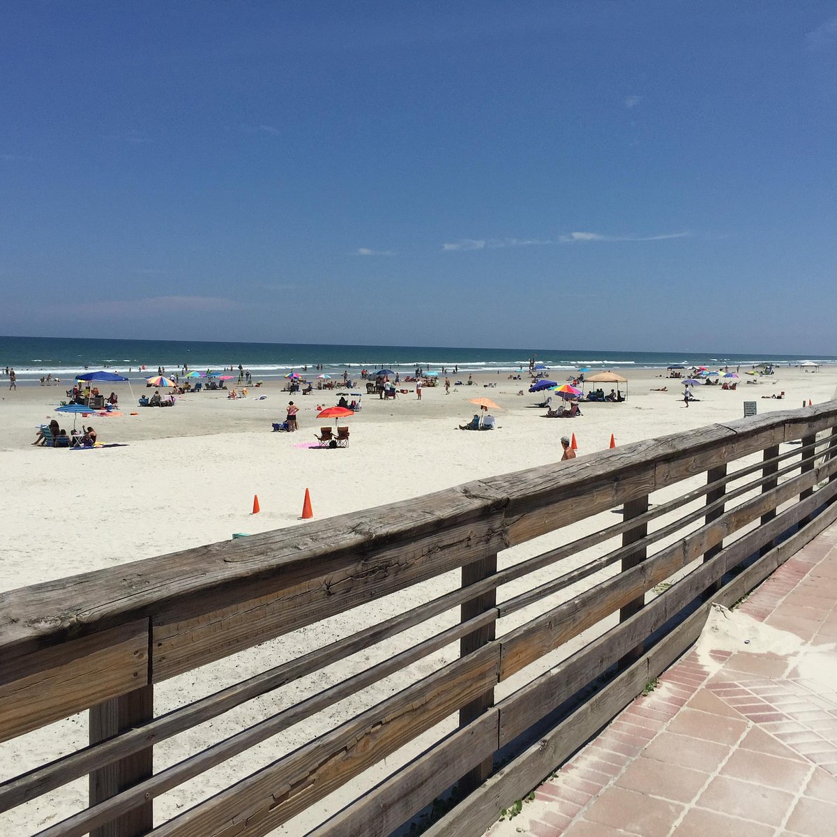 Beach was behind me and this was the view - Picture of Apollo Beach Nature  Preserve - Tripadvisor