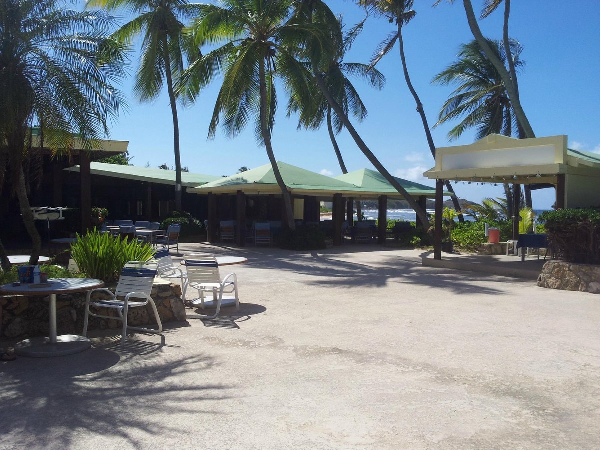 THE RESTAURANT AT THE PALMS AT PELICAN COVE, Christiansted - Restaurant ...