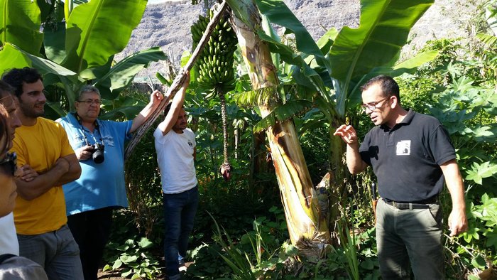 Imagen 10 de Ecofinca Platanológico