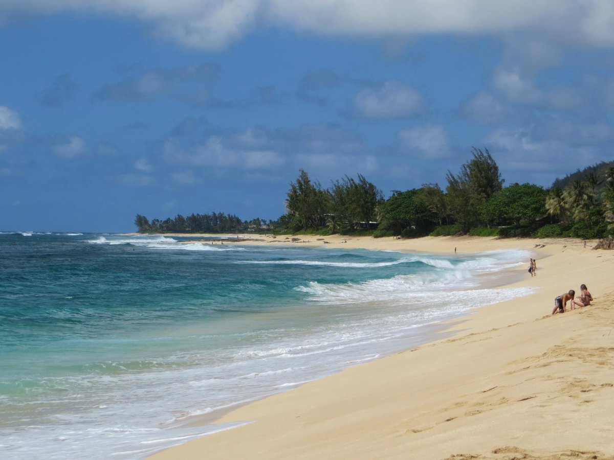 Ehukai Beach Park Pupukea Atualizado 2022 O Que Saber Antes De Ir Sobre O Que As Pessoas