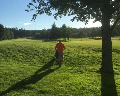 THE BEST 10 Golf near MERI-RASTILA, HELSINKI, FINLAND - Last Updated  November 2023 - Yelp