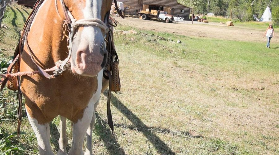 Trail rides with our experienced wranglers