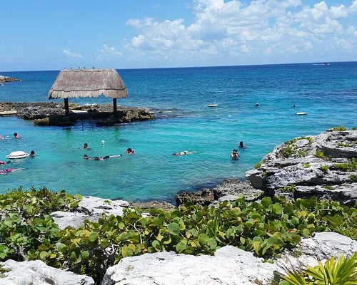LAS 10 MEJORES cosas que hacer románticas en Playa del Carmen para parejas  | Tripadvisor
