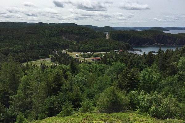 Springdale, Newfoundland and Labrador 2024: All You Need to Know Before You  Go - Tripadvisor