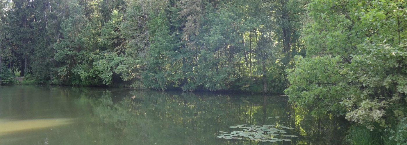 Пруд в Абрамцево