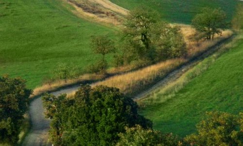 Percorsi cicloturistici nelle vicinanze