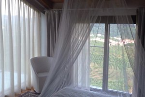 Viaggiatori