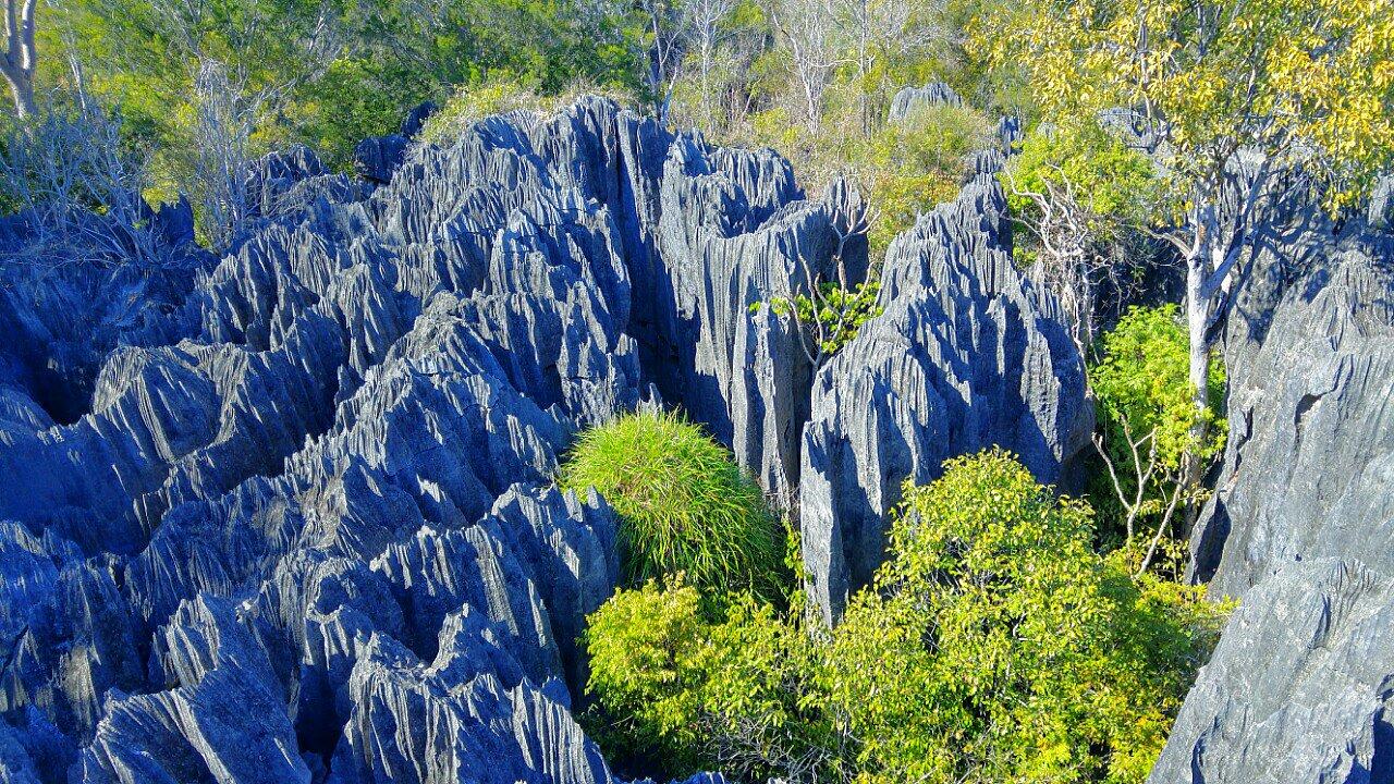 Tsingy De Bemaraha Strict Nature Reserve (Tsingy De Bemaraha National ...