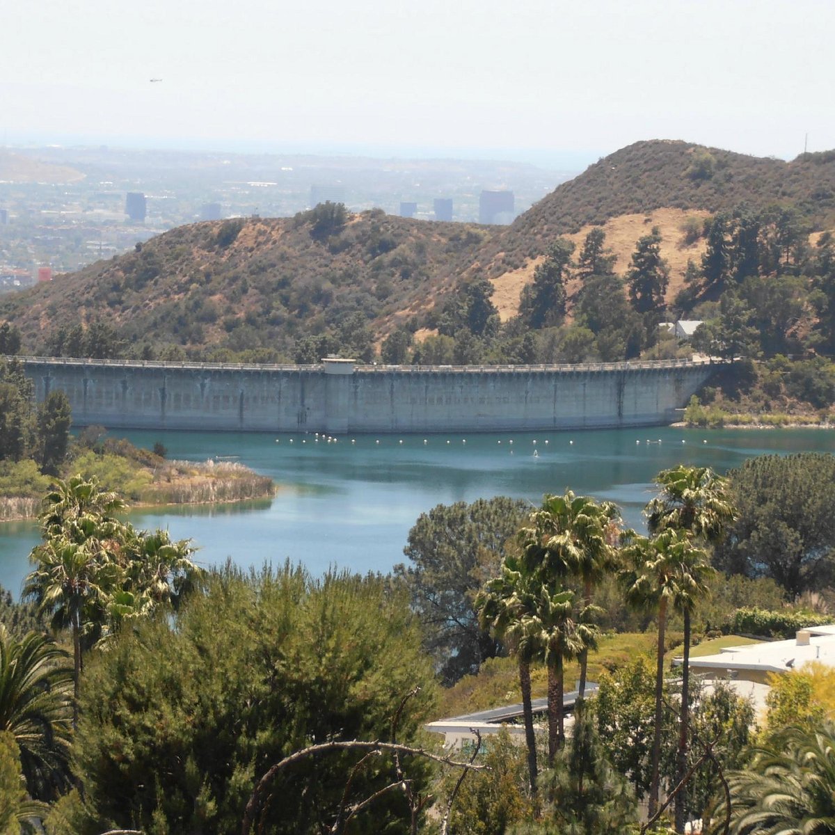 Hollywood Reservoir, Лос-Анджелес: лучшие советы перед посещением -  Tripadvisor