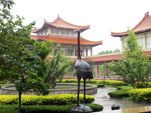 Qingzhou Travelingmaven review images