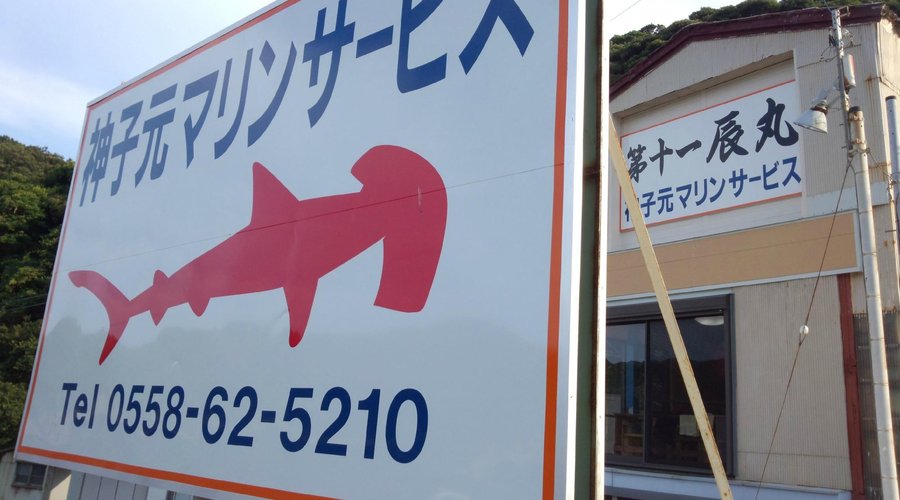 ダイビングショップが経営