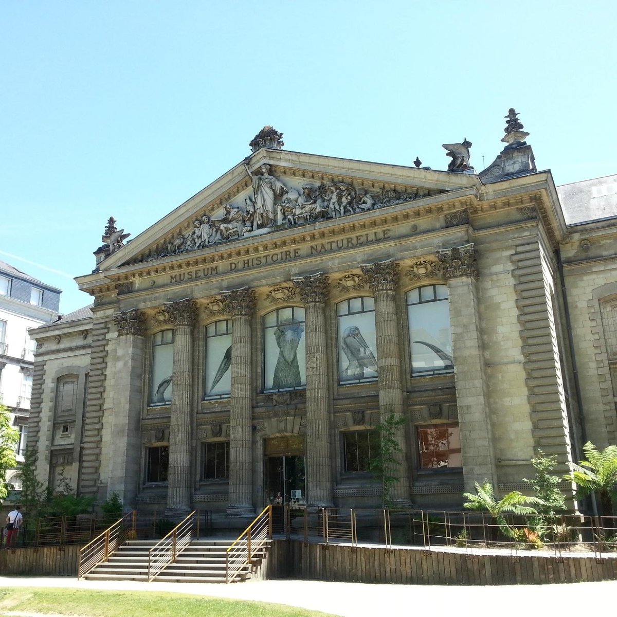 Muséum d'Histoire Naturelle de Nantes - Qué SABER antes de ir ...