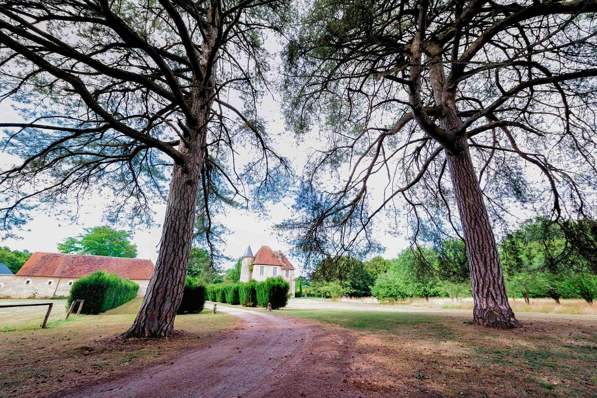 CHÂTEAU DE SAINT GEORGES (Saint-Georges-sur-Moulon) - отзывы, фото и  сравнение цен - Tripadvisor