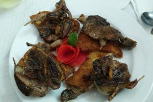 Comida