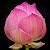 Anne M