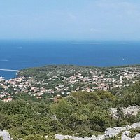 Viene from the church