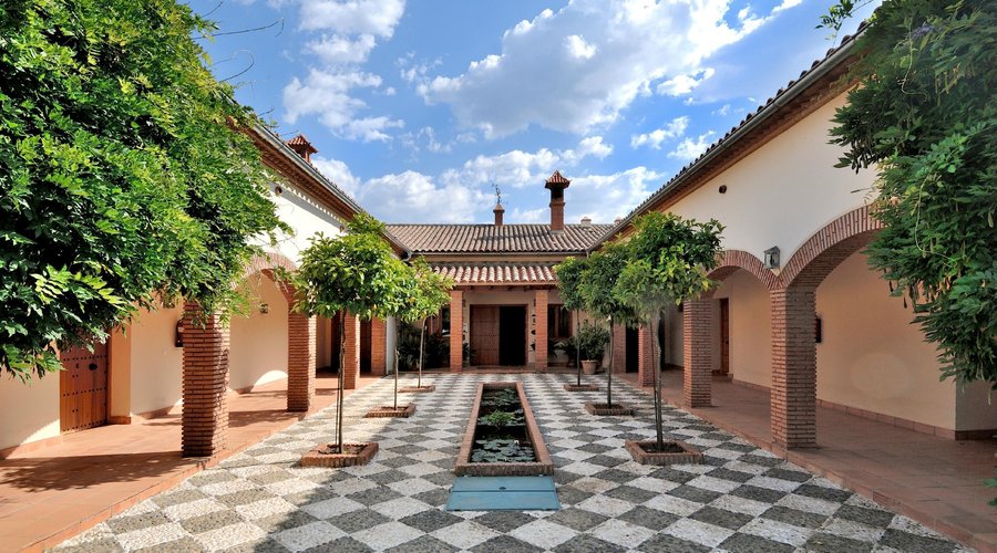 El patio con su estanque y naranjos