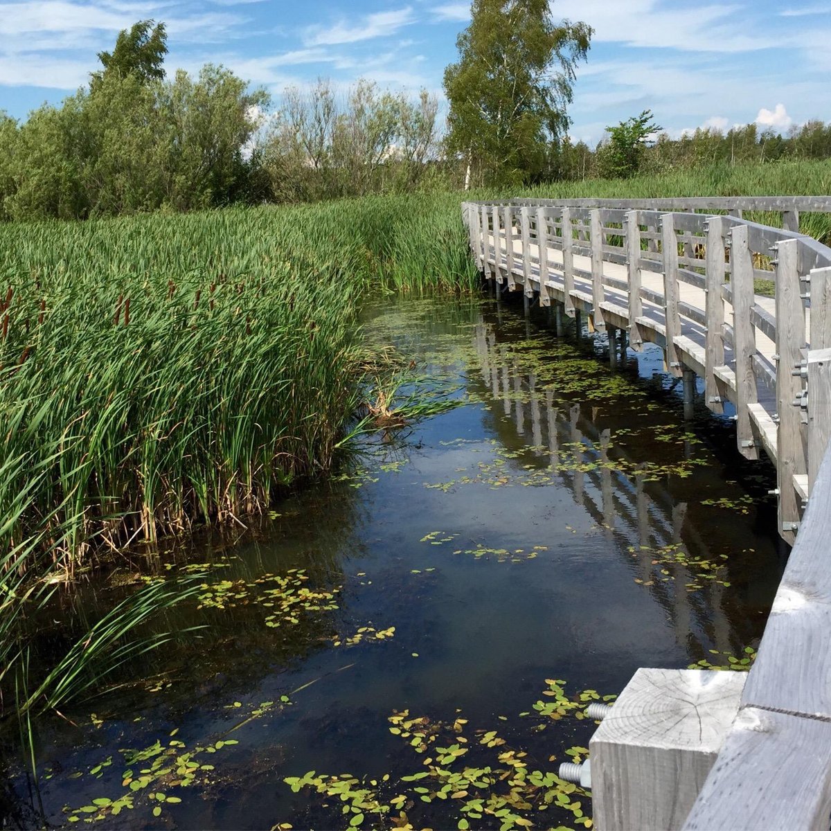 Sackville Waterfowl Park - All You Need to Know BEFORE You Go (2024)