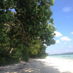 the beach