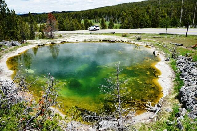 FOUNTAIN PAINT POT Parque Nacional De Yellowstone 2022 Qu Saber   Fountain Paint Pot 