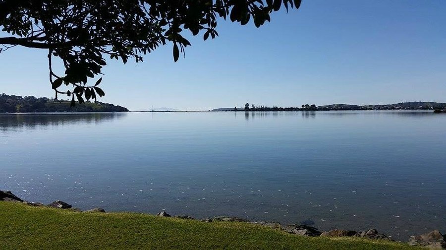 Views from one of our beautiful waterfront sites
