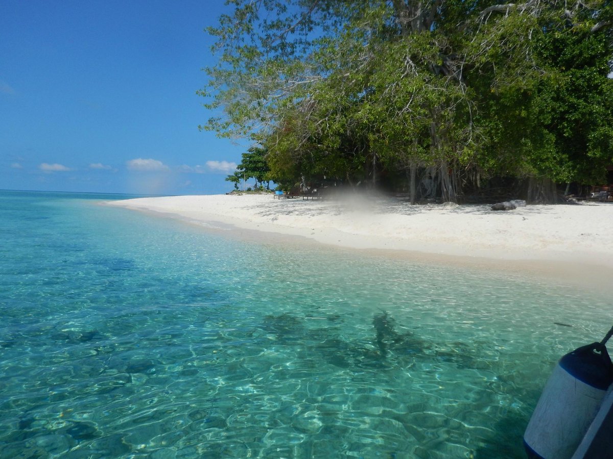 SCUBA DIVE SIPADAN (Semporna): Ce qu'il faut savoir pour votre visite ...