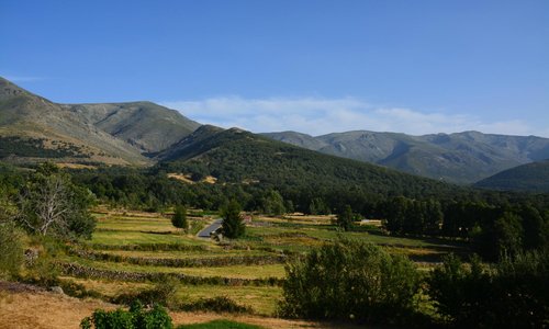 Bedroom View