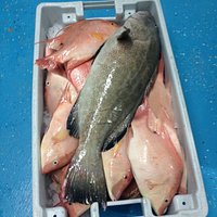 Fresh Seafood every day