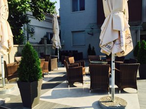 Hotel VIVA in Kragujevac, image may contain: Potted Plant, Plant, Planter, Chair