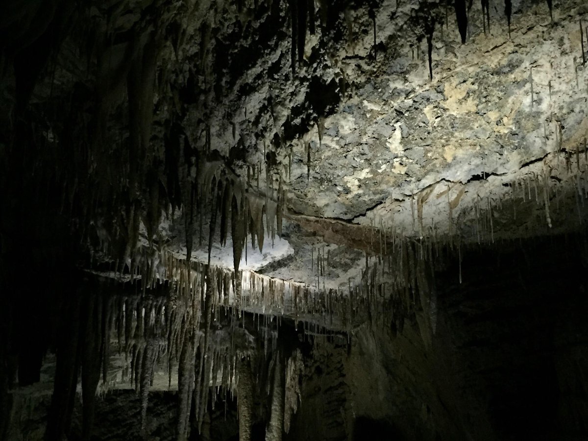 Like the phoenix, Australia's giant birds of prey rise again from limestone  caves