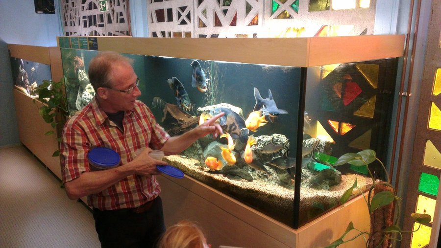 The manager about to feed the fish in one of the tanks