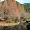 Things To Do in Keibindo (Former Railroad Track for Tanna Tunnel Construction), Restaurants in Keibindo (Former Railroad Track for Tanna Tunnel Construction)