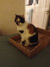 Trudi G