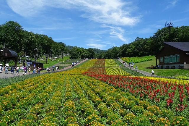 Tambara Lavender Park (沼田市) - 旅游景点点评- Tripadvisor