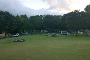 旅行者の写真