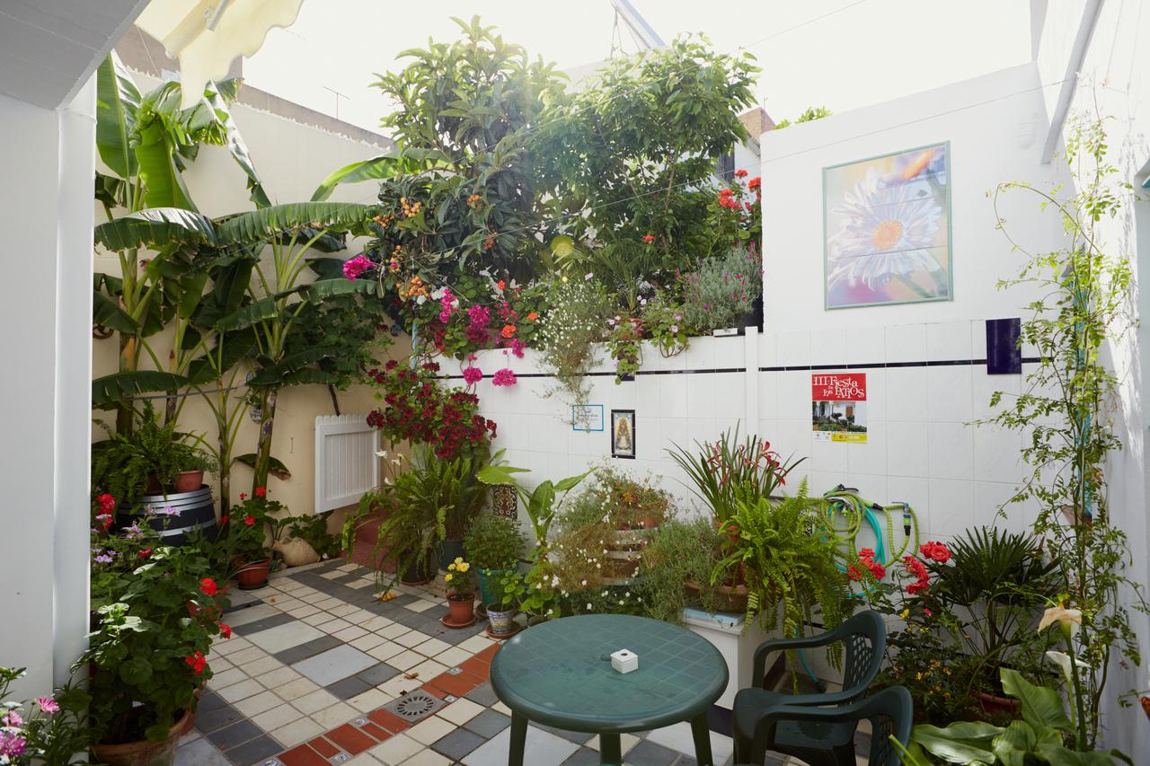 Hostal Campo Nuevo by null