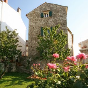 House - garden wiev