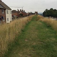 Wareham Saxon Wall Walk - West Walls