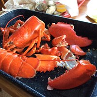 Lobster