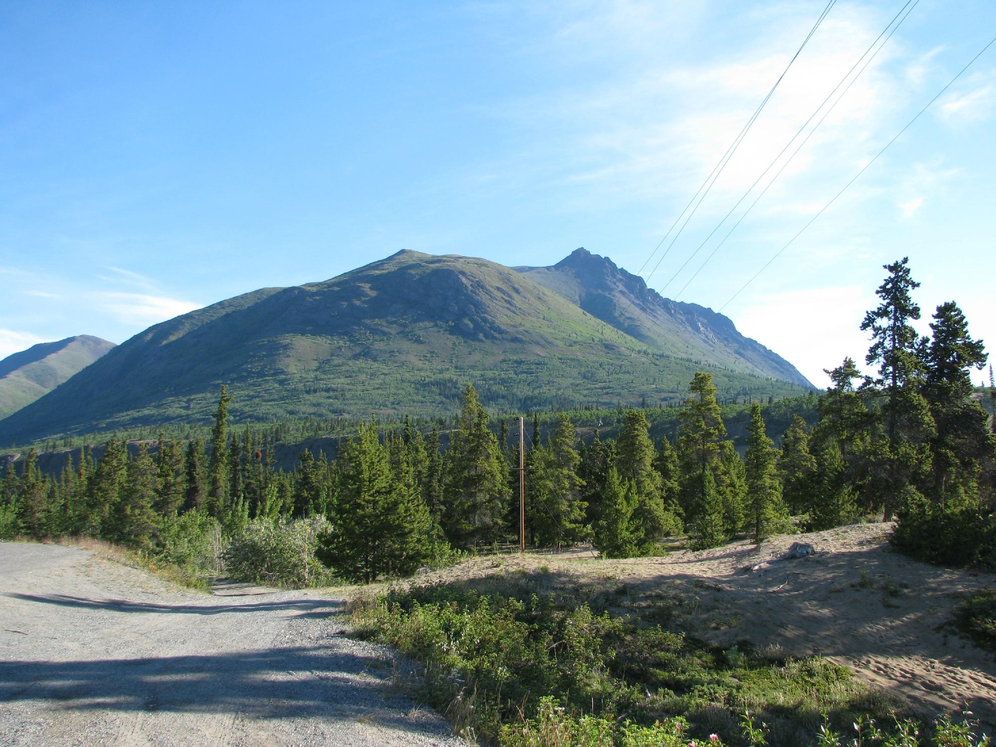 Carcross Desert - All You Need to Know BEFORE You Go (2024)