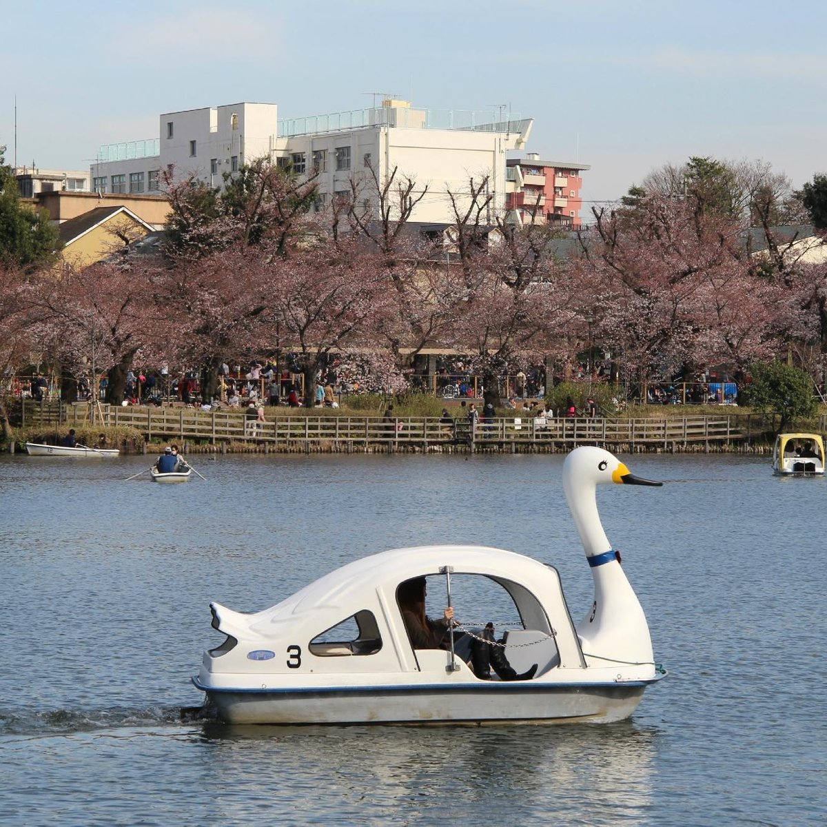 Senzokuike Park 大田区 旅游景点点评 Tripadvisor