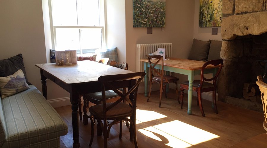 Our dog friendly room!