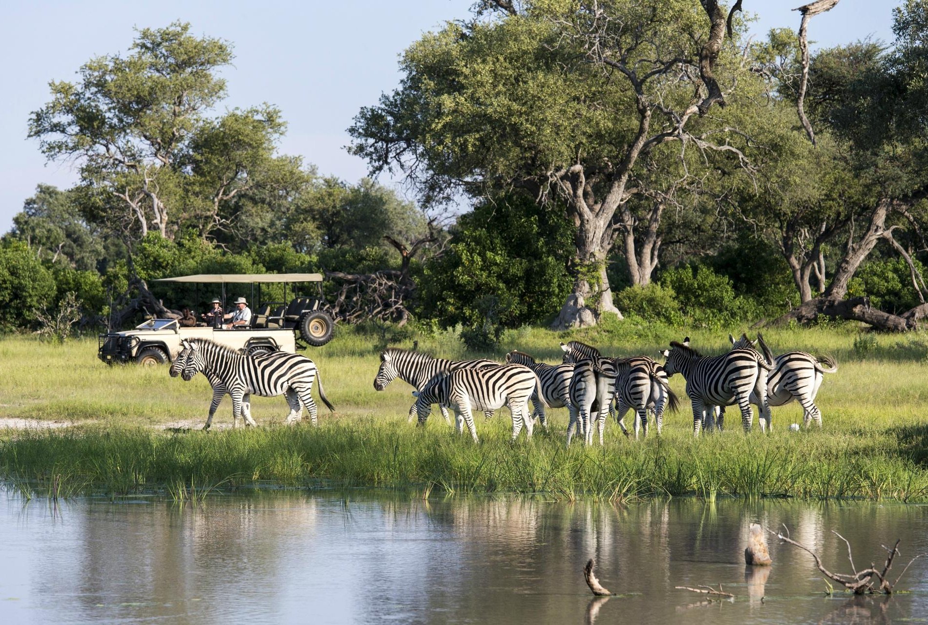 Wilderness Vumbura Plains by null