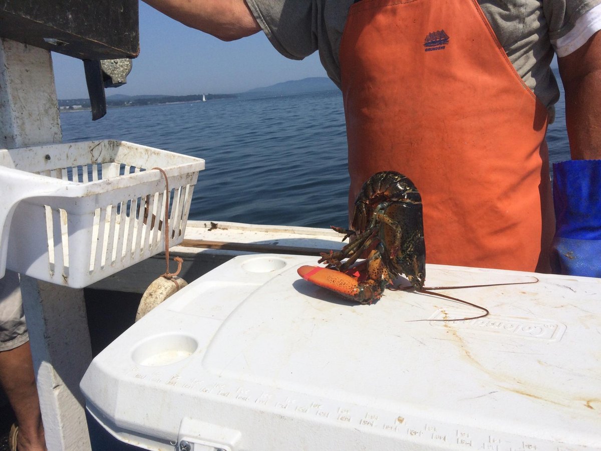 Captain Jack Lobster Boat Adventure (Rockland) - All You Need to Know ...