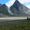 Things To Do in Auyuittuq National Park, Restaurants in Auyuittuq National Park